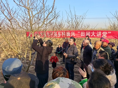 協(xié)同發(fā)展譜新篇 建好“菜園子” 豐盈“菜籃子” 衡水桃城區(qū)高品質(zhì)果蔬產(chǎn)業(yè)蓬勃發(fā)展